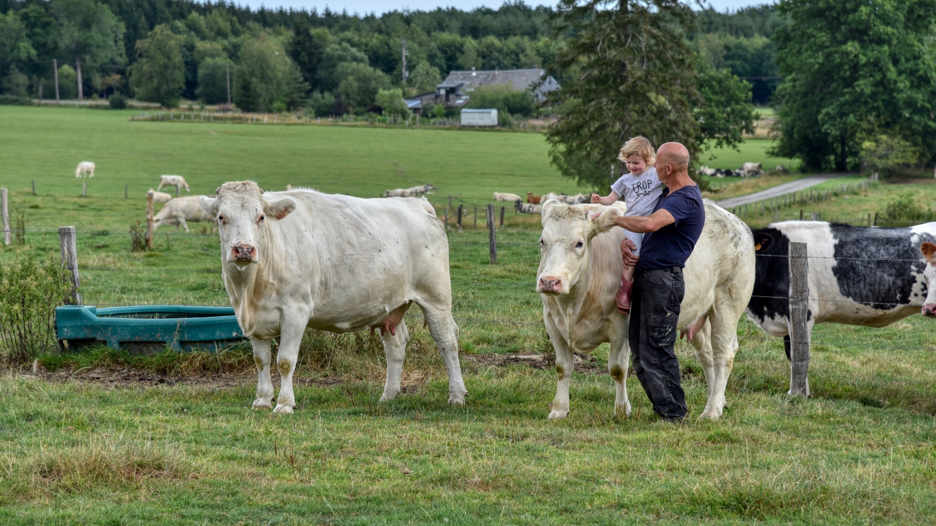 La ferme des grandes Fagnes (Stavelot) - Vente de produits laitiers